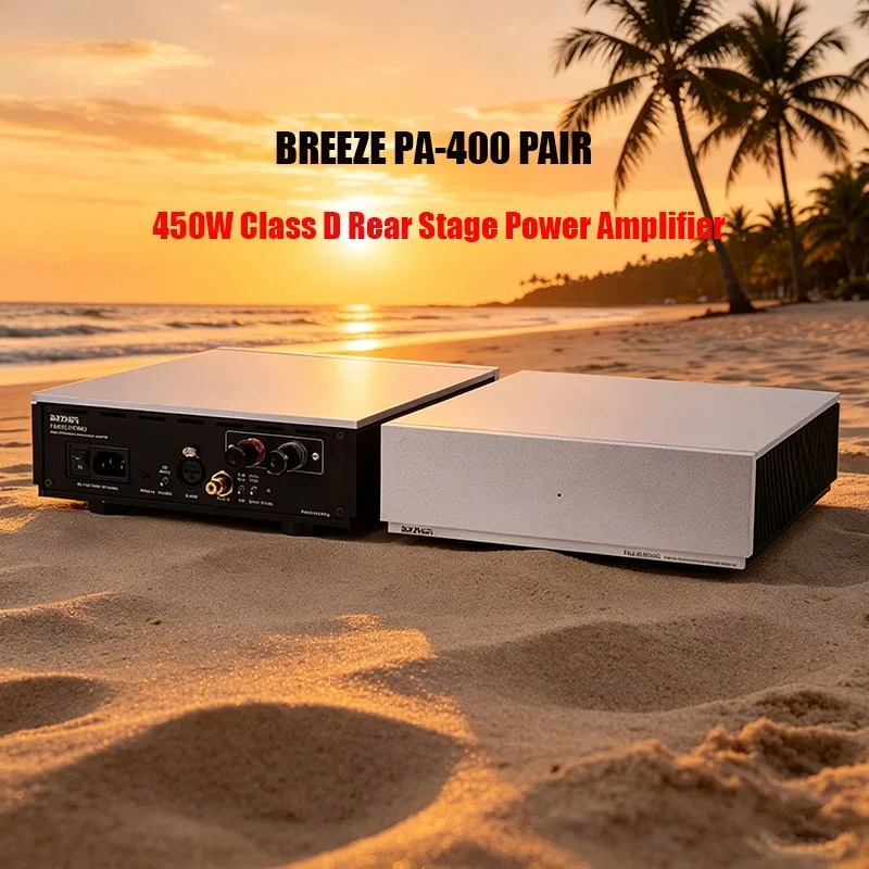 Class D Amplifier - 2026 New Material Weiliang PA400 Mono