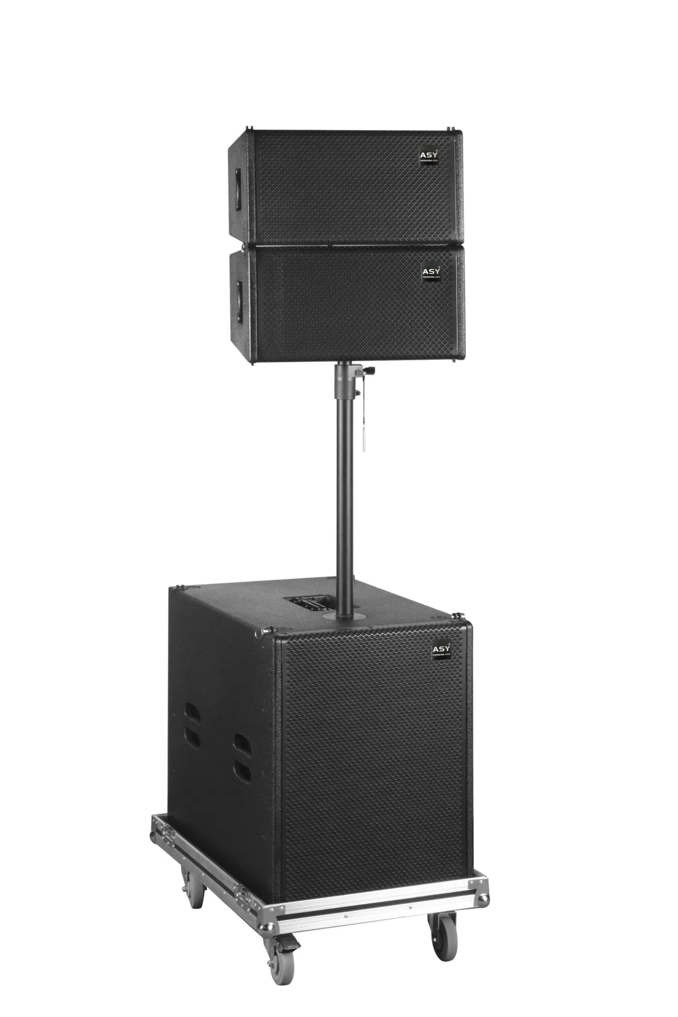 10 Inch Full Range Compact Act - огляд і ціна Full Range Speaker